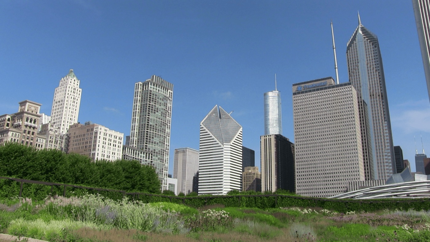 Laurie Garden, è un parco dentro al parco, un giardino con specie native dell’Illinois lasciate crescere senza nessun trattamento nel modo più naturale possibile