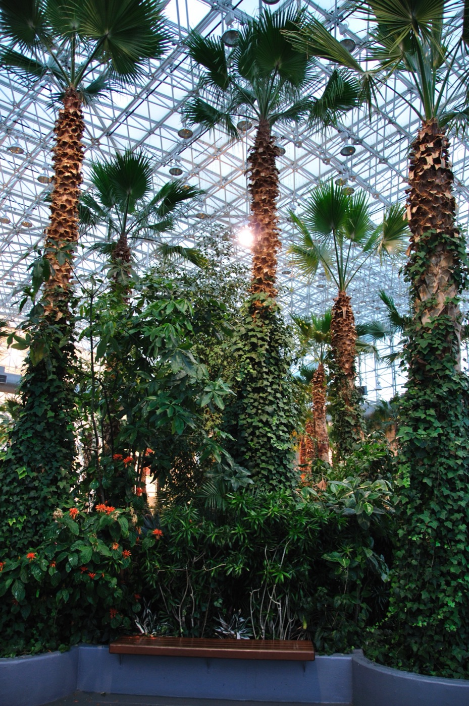 Crystal Gardens