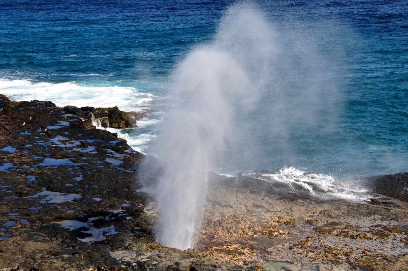 Spouting Horn