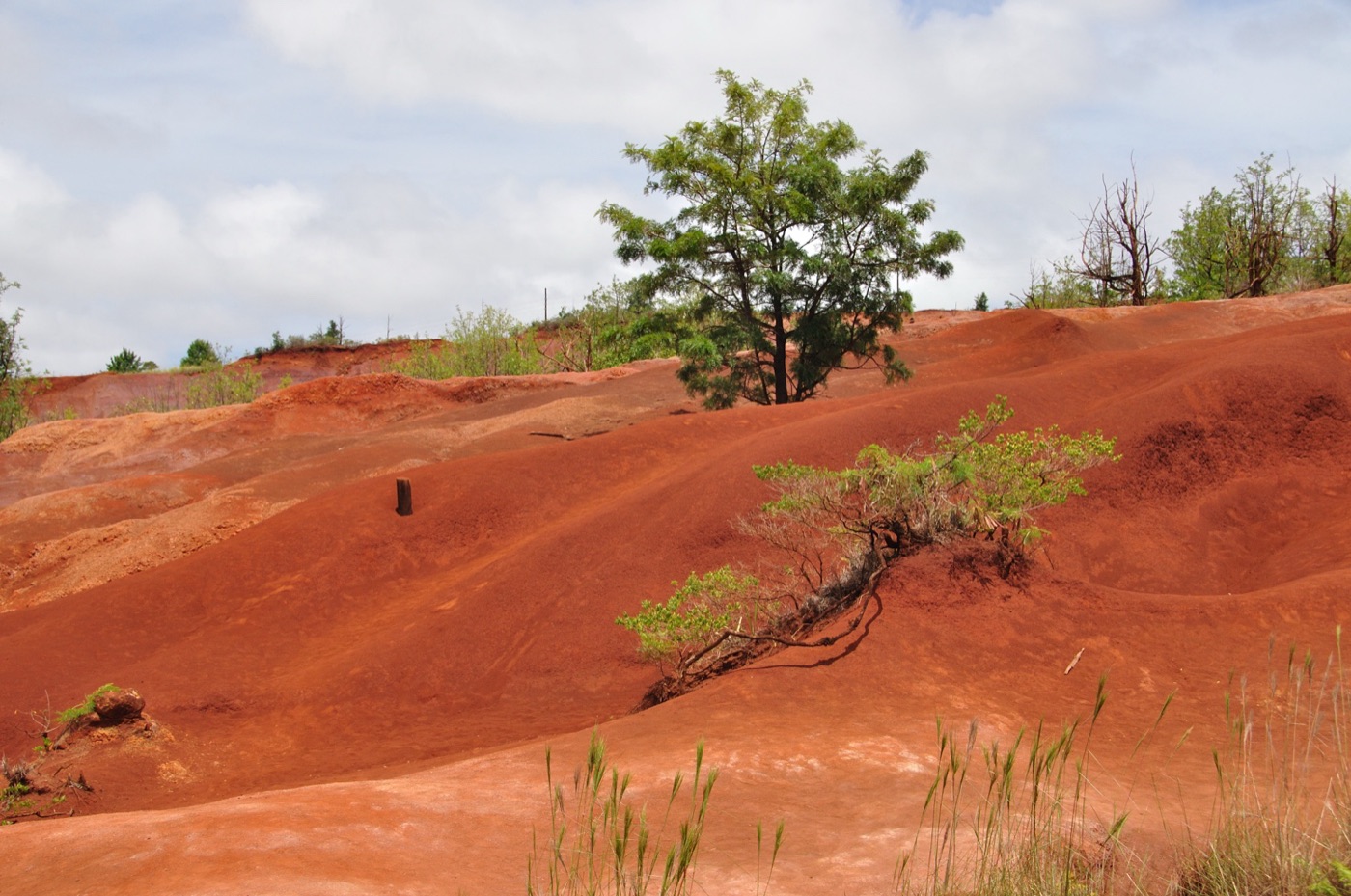 Mentre saliamo al Waimea Canyon
