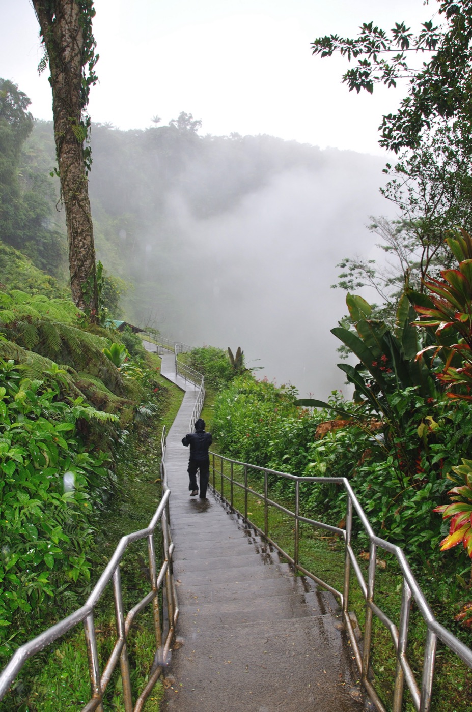 Camminando verso le Akaka Falls