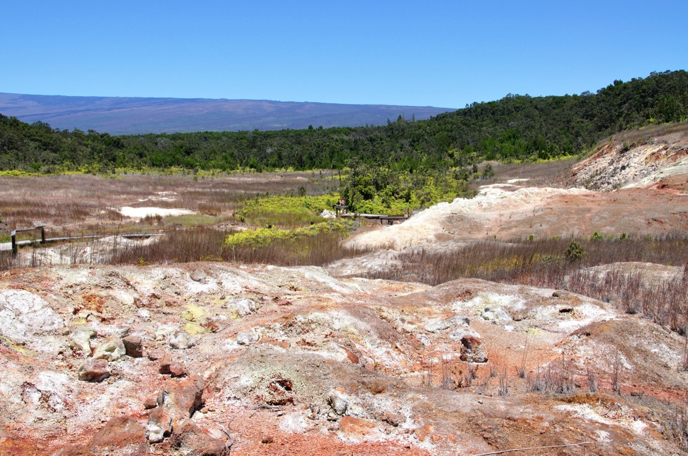 Sulfur Banks
