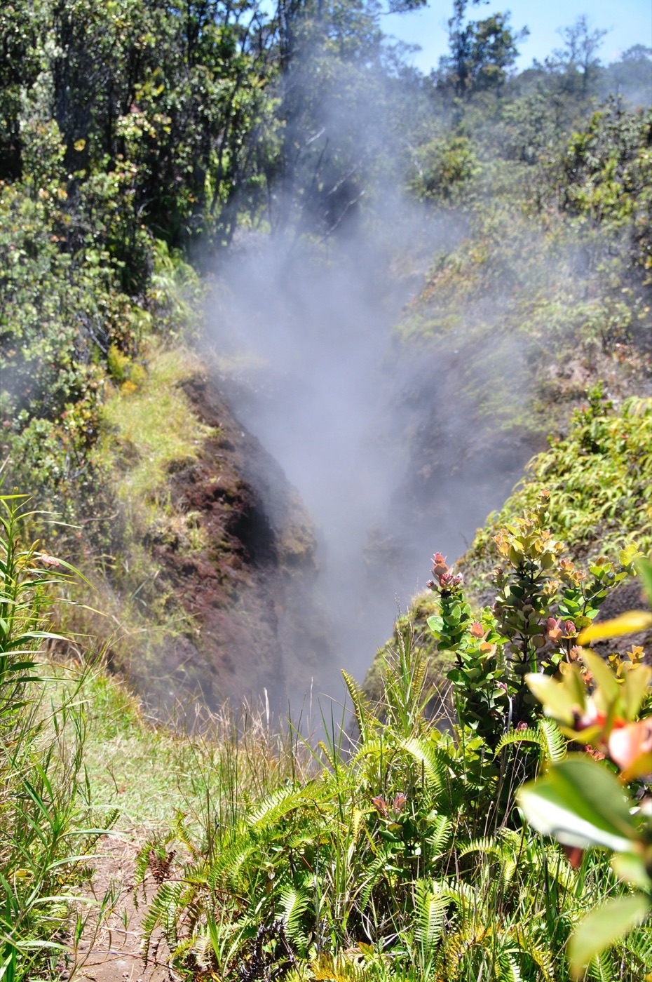Steam  Banks