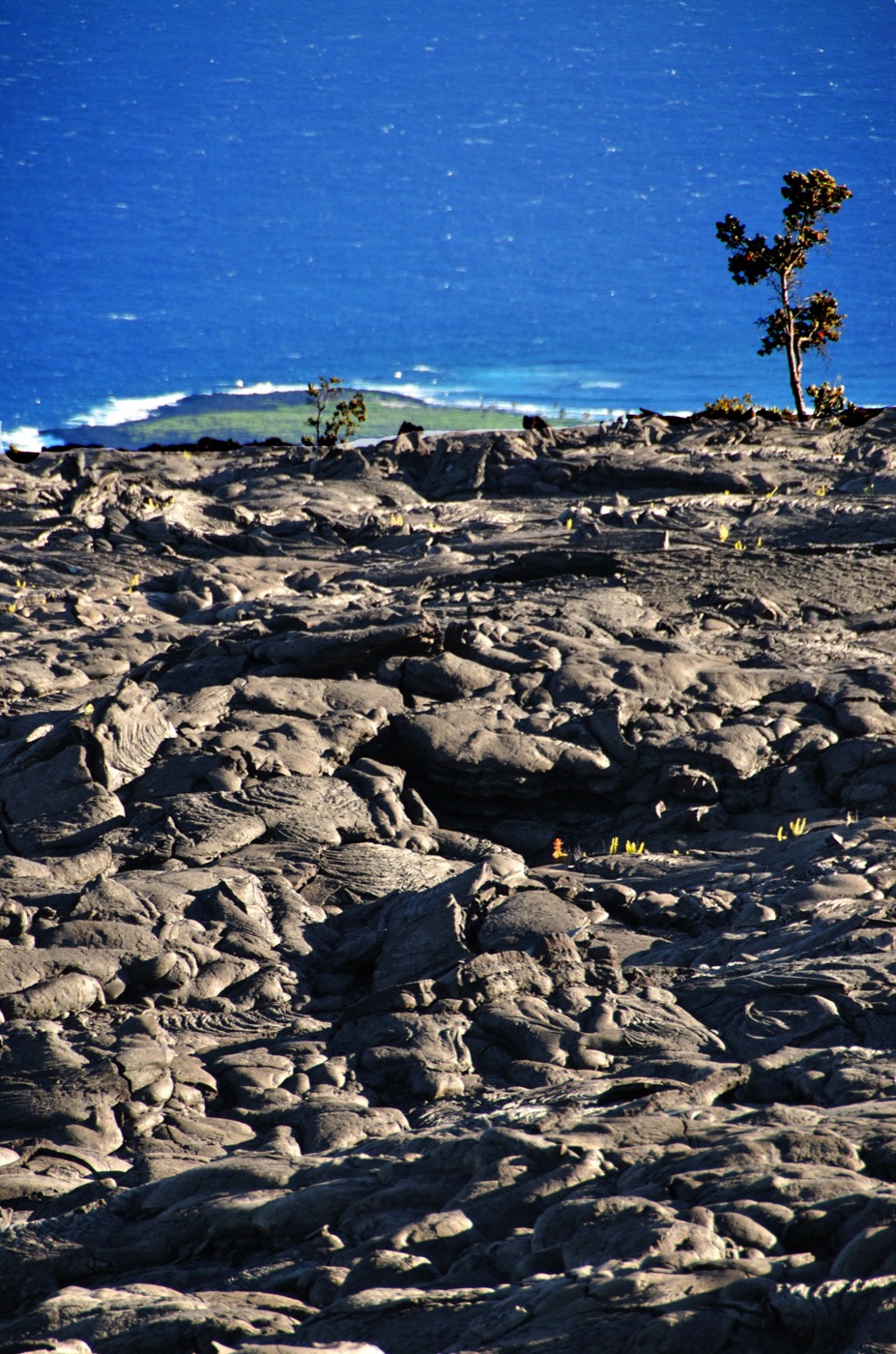 Panorama lungo la Crater Road