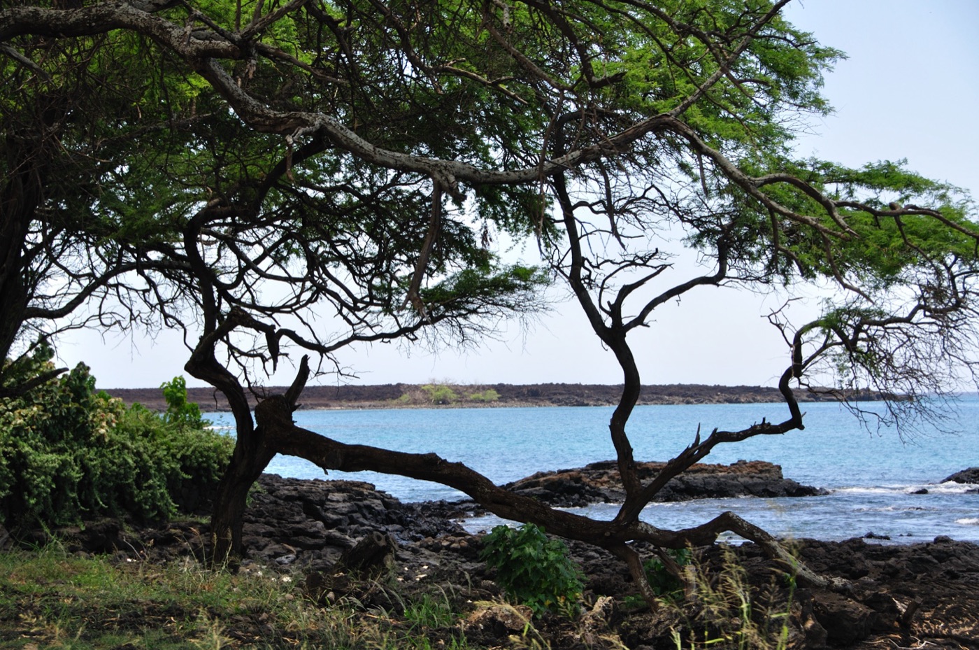 Zona di La Perouse