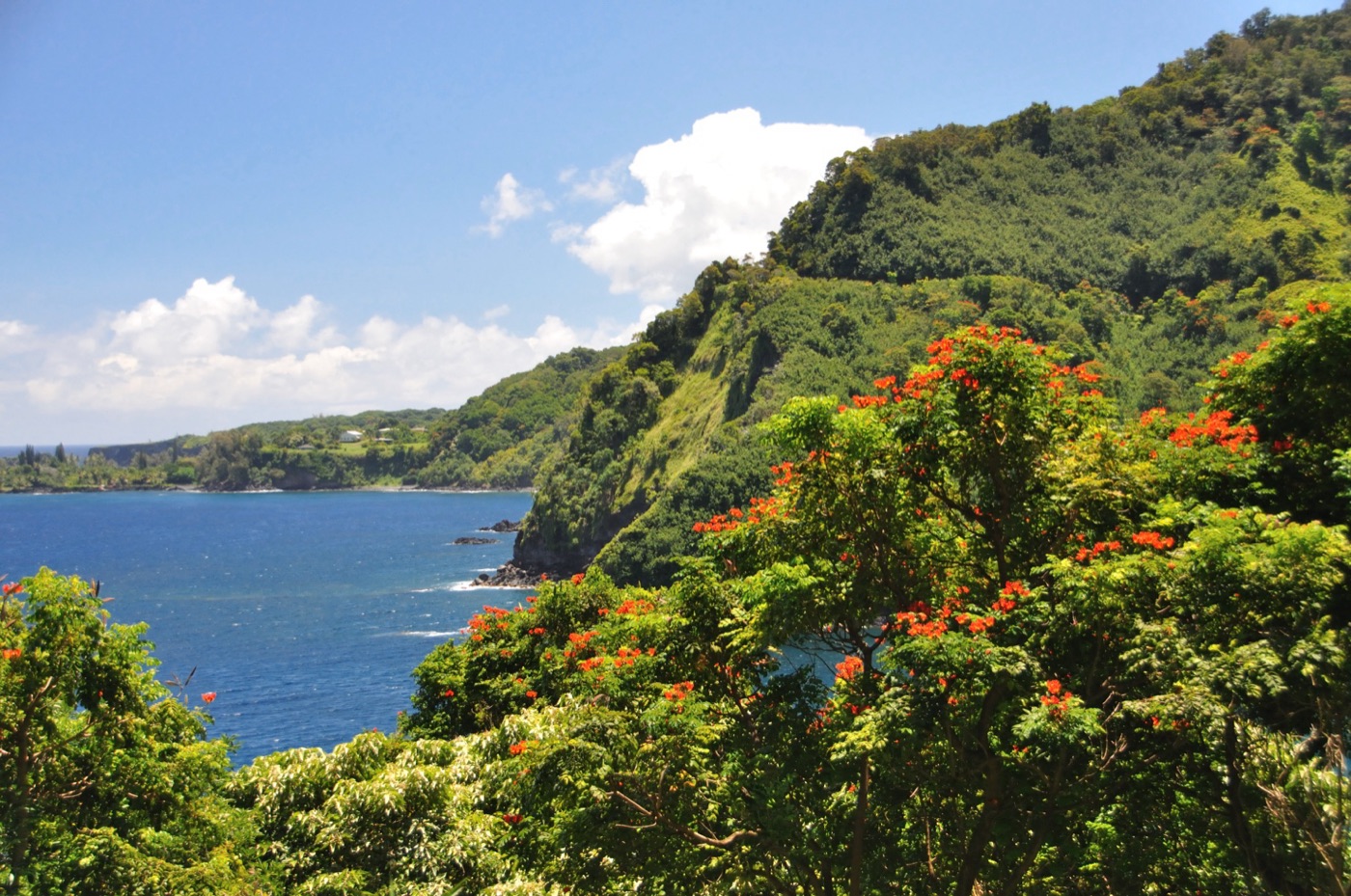 Panorama sulla Hana Rd