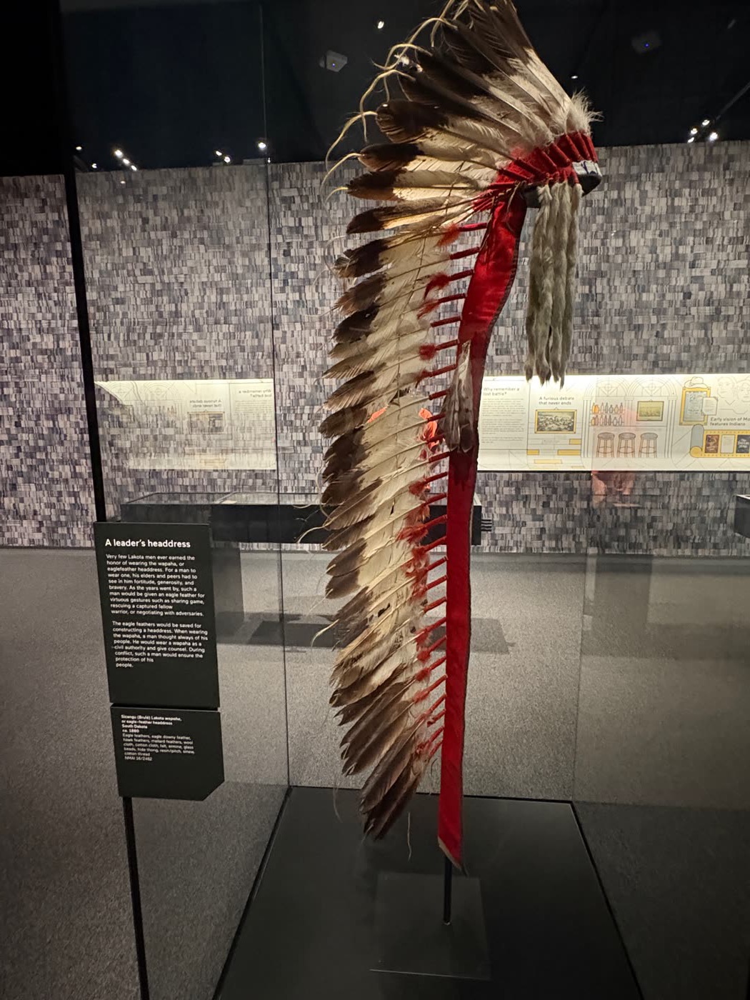 Lakota wapaha (copricapo del capo indiano della tribù Lakota)